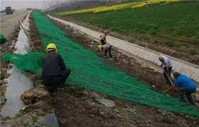 Innovative Drainage Solutions with Geonet Strip Drain for Modern Infrastructure