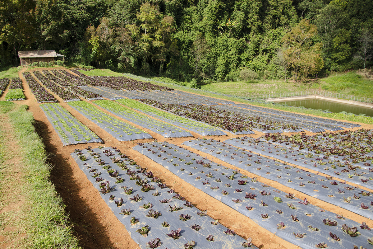 How Geosynthetics Make Infrastructure More Sustainable