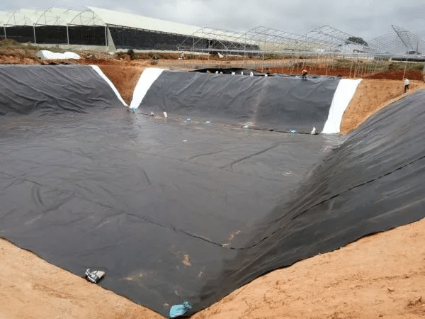 Unveiling the Role of Geomembrane Companies in Environmental Protection