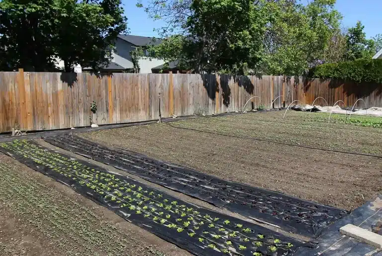 Geotextile Fabric Under Patio: Functions and Selection