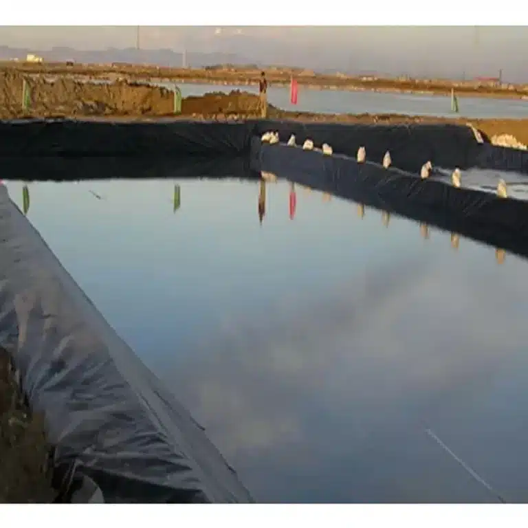 Enhancing Environmental Safety: A Case Analysis of Geomembranes in Modern Construction