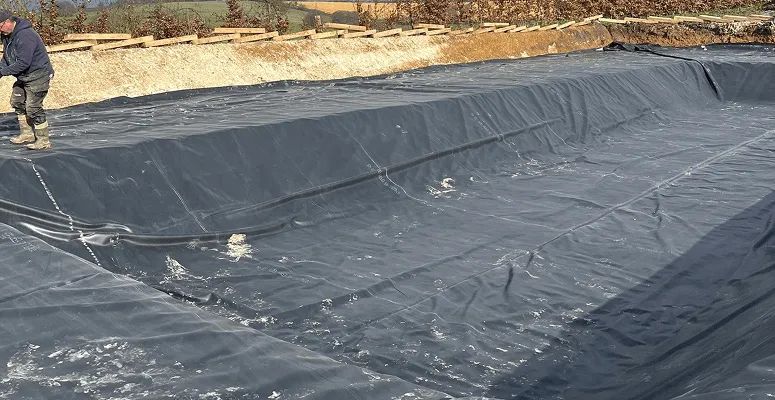 Geotextile pond underlayment used in aquaculture pond project for soil stabilization and liner protection