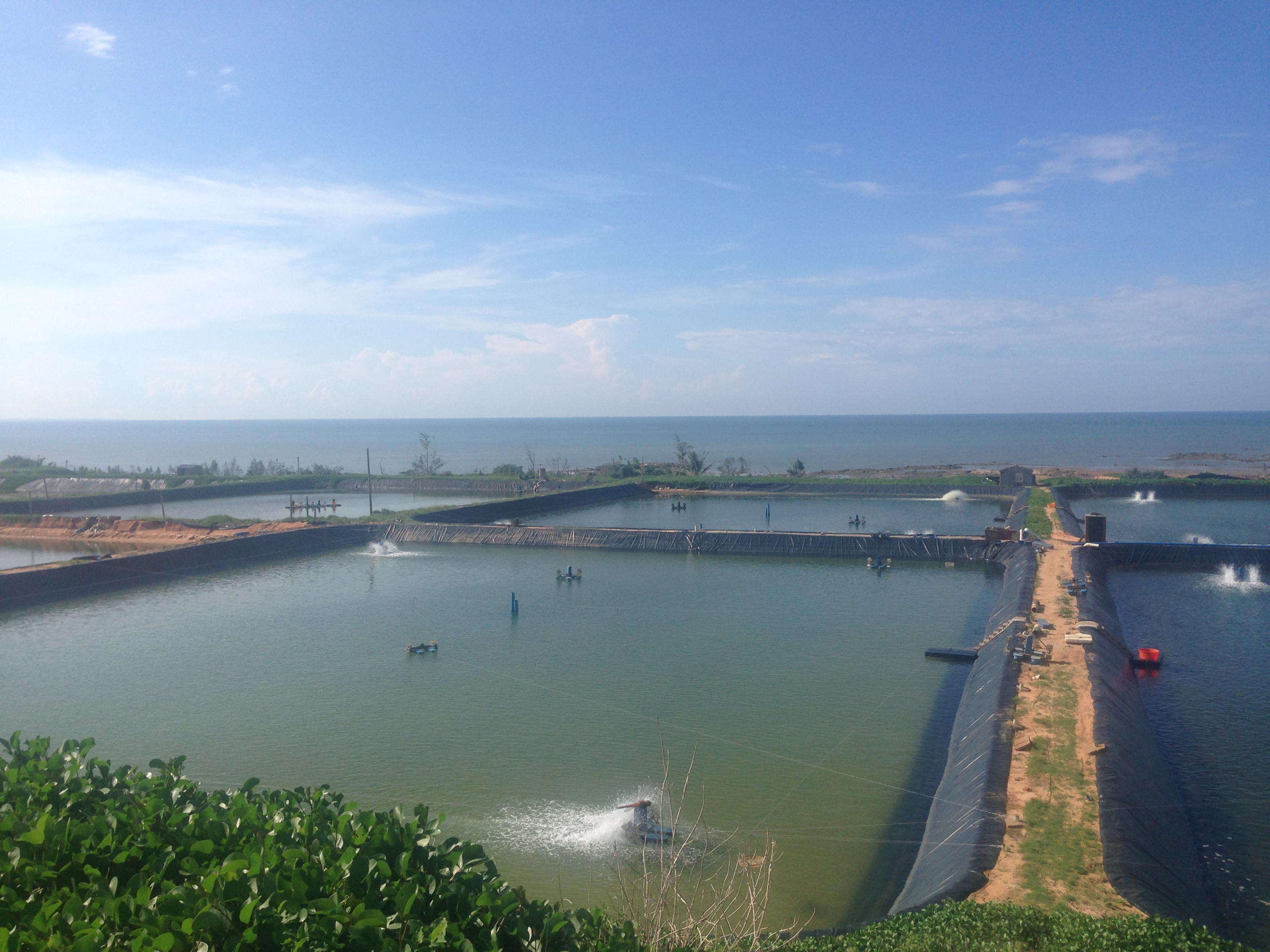 Instalación de geomembran HDPE en relleno sanitario

