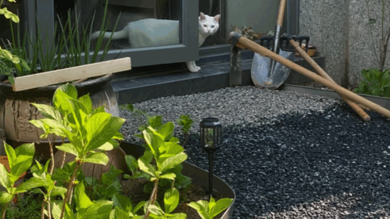 Geotextile Fabric Under Pool Deck: Improve Drainage, Stability, and Long-Term Performance