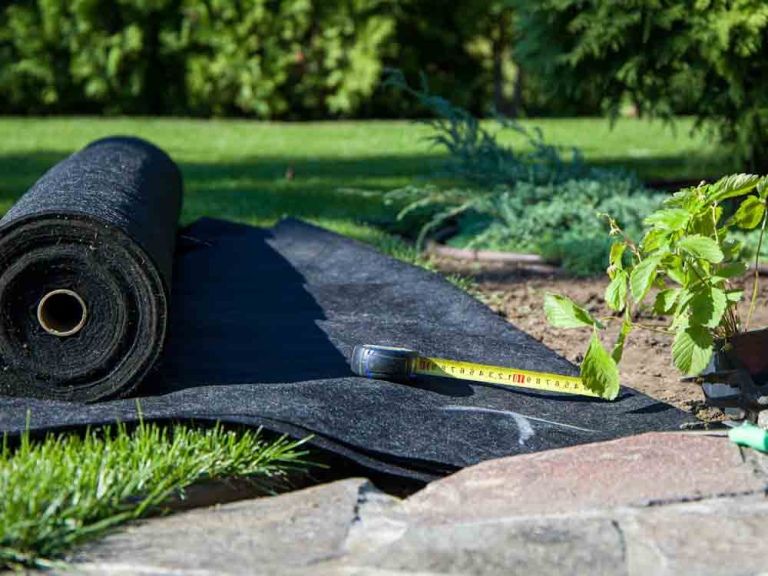 Why Geotextile Fabric Pots Are the Preferred Choice for Healthy Plant Growth