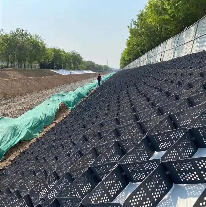 Geocell Tree Root Protection Supports Sustainable City Growth Geocell Tree Root Protection Supports Sustainable City Growth