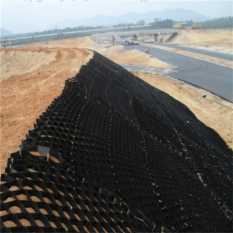 Geocell Tree Root Protection Supports Sustainable City Growth Geocell Tree Root Protection Supports Sustainable City Growth