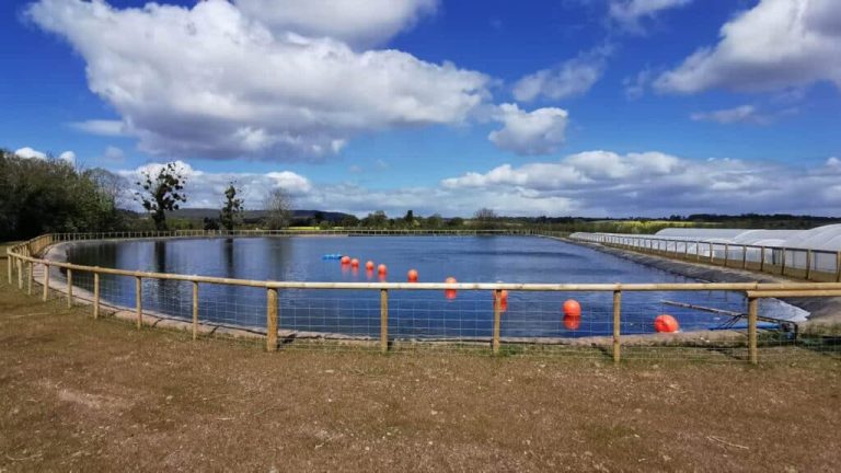LDPE Geomembrane: Key Applications and Benefits in Geosynthetics