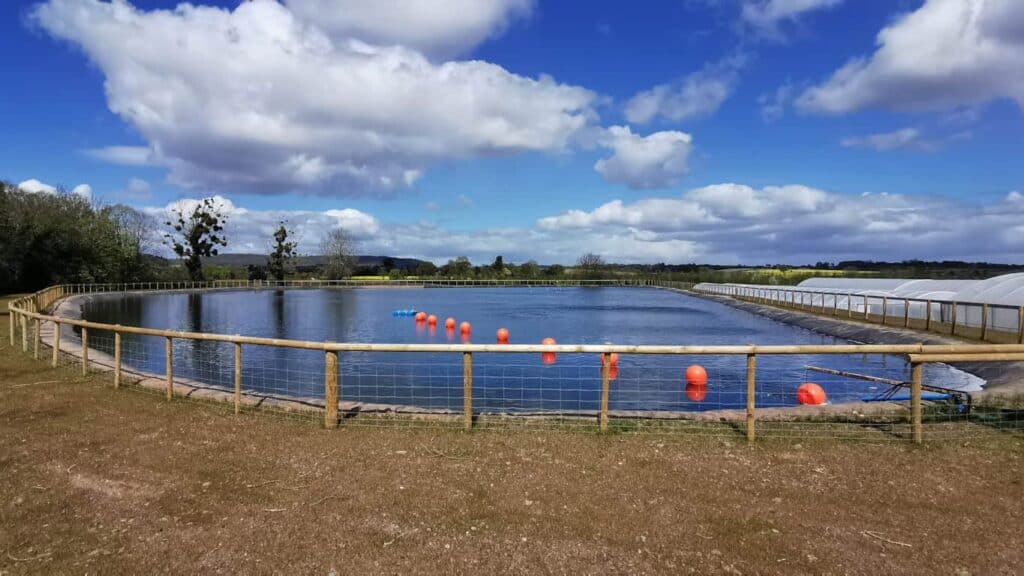 Reservoir geomembrane leak inspection in a lined water storage reservoir project